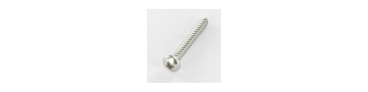Tête Cylindrique Bombée