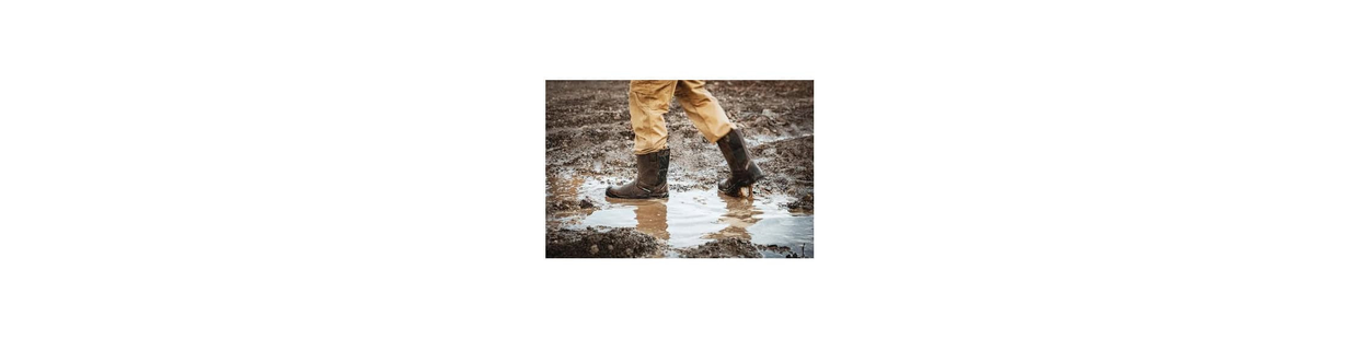 Bottes