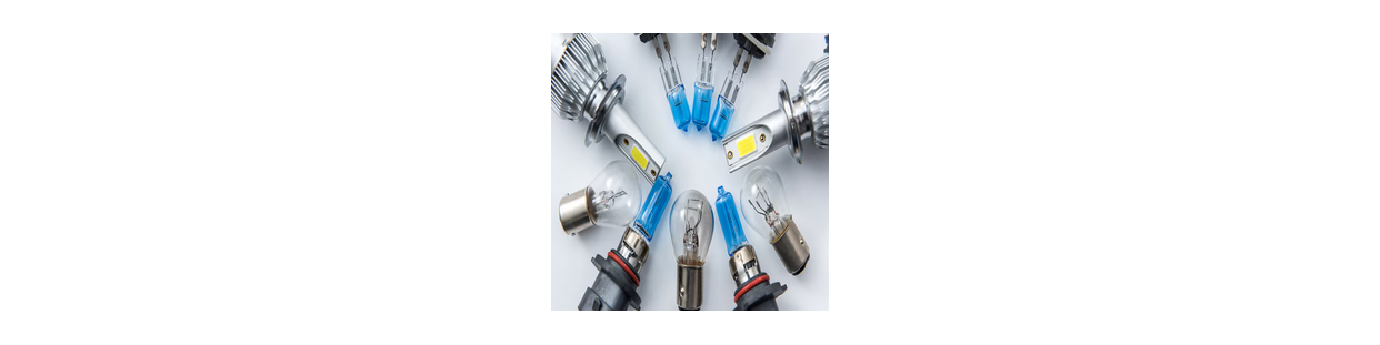 Ampoule