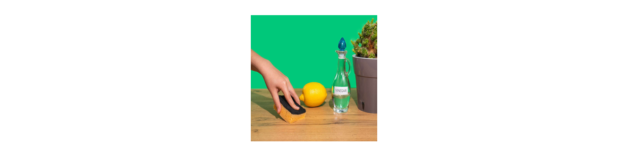 Vinaigre