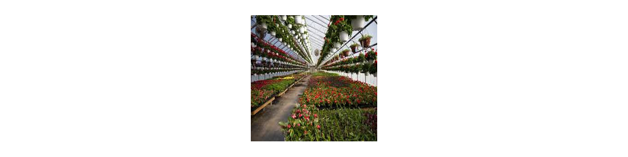 Horticulture