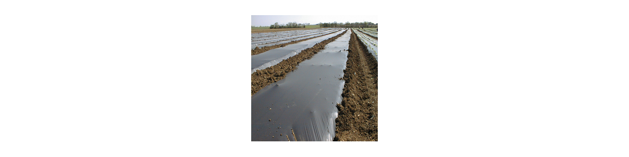 Film de paillage