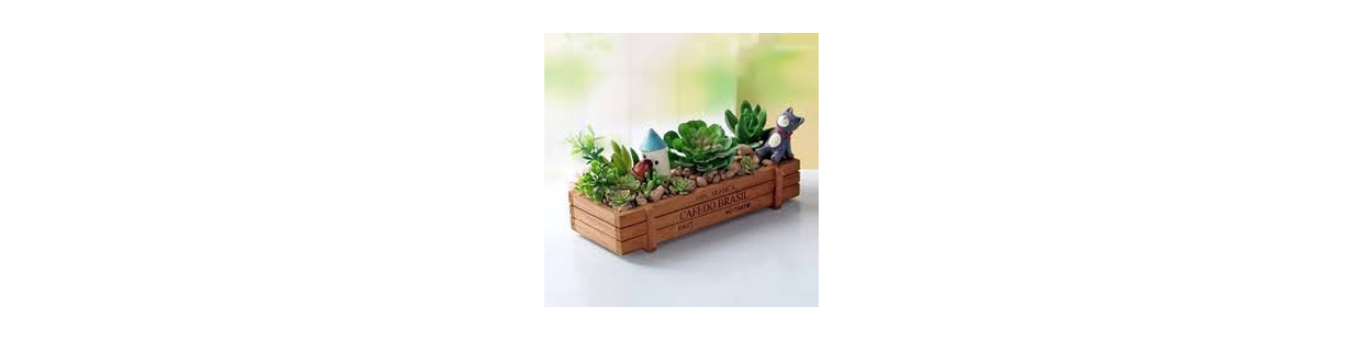 Jardinière