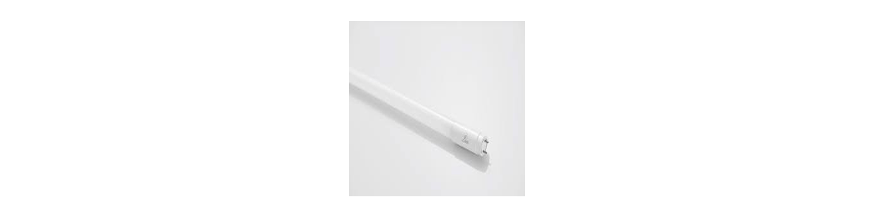 Led