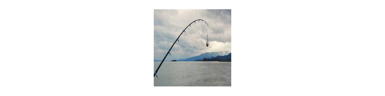 Canne À Pêche