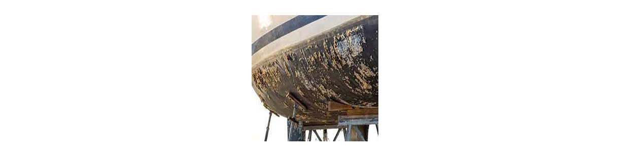 Antifouling